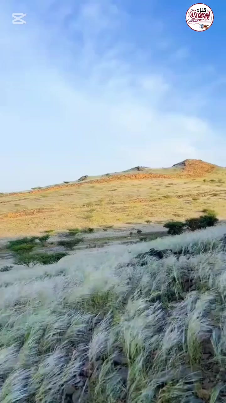 @قناة أبويوسف الشوقبي