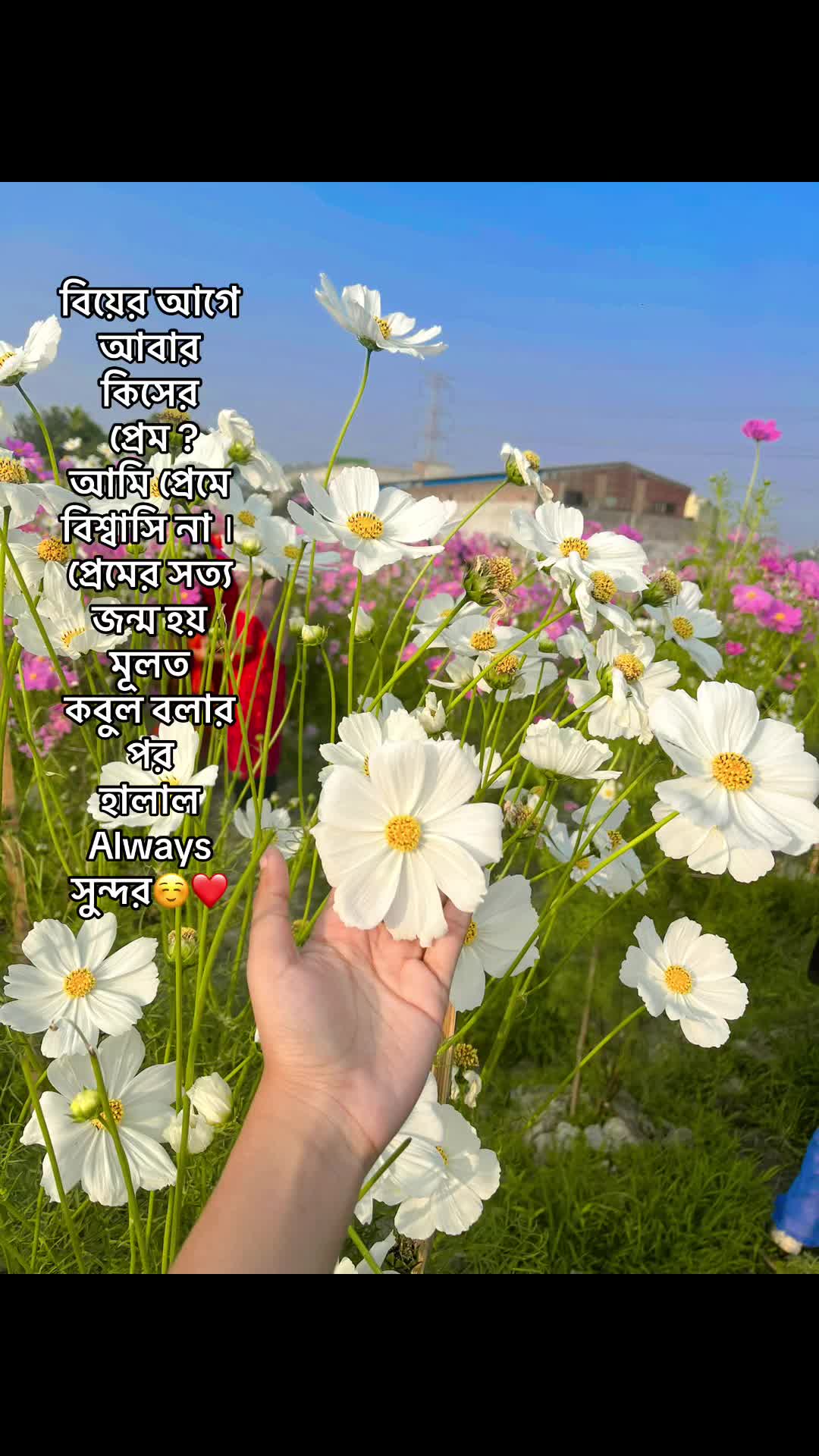 @Hafsa Israt