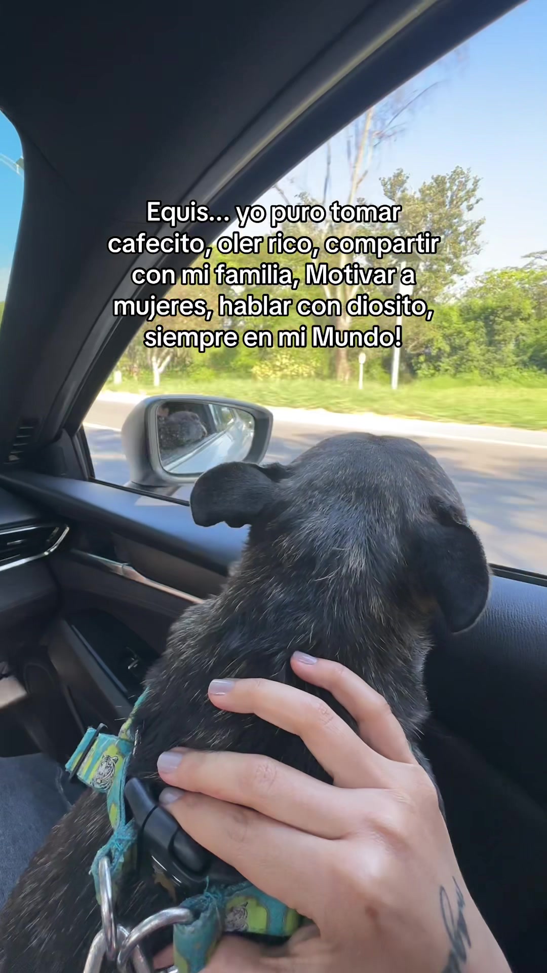 @Frine Molina