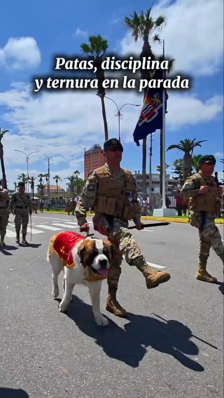 @Arica es Bacán