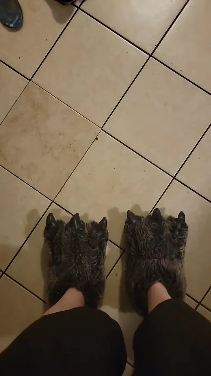 @turquoisetiger