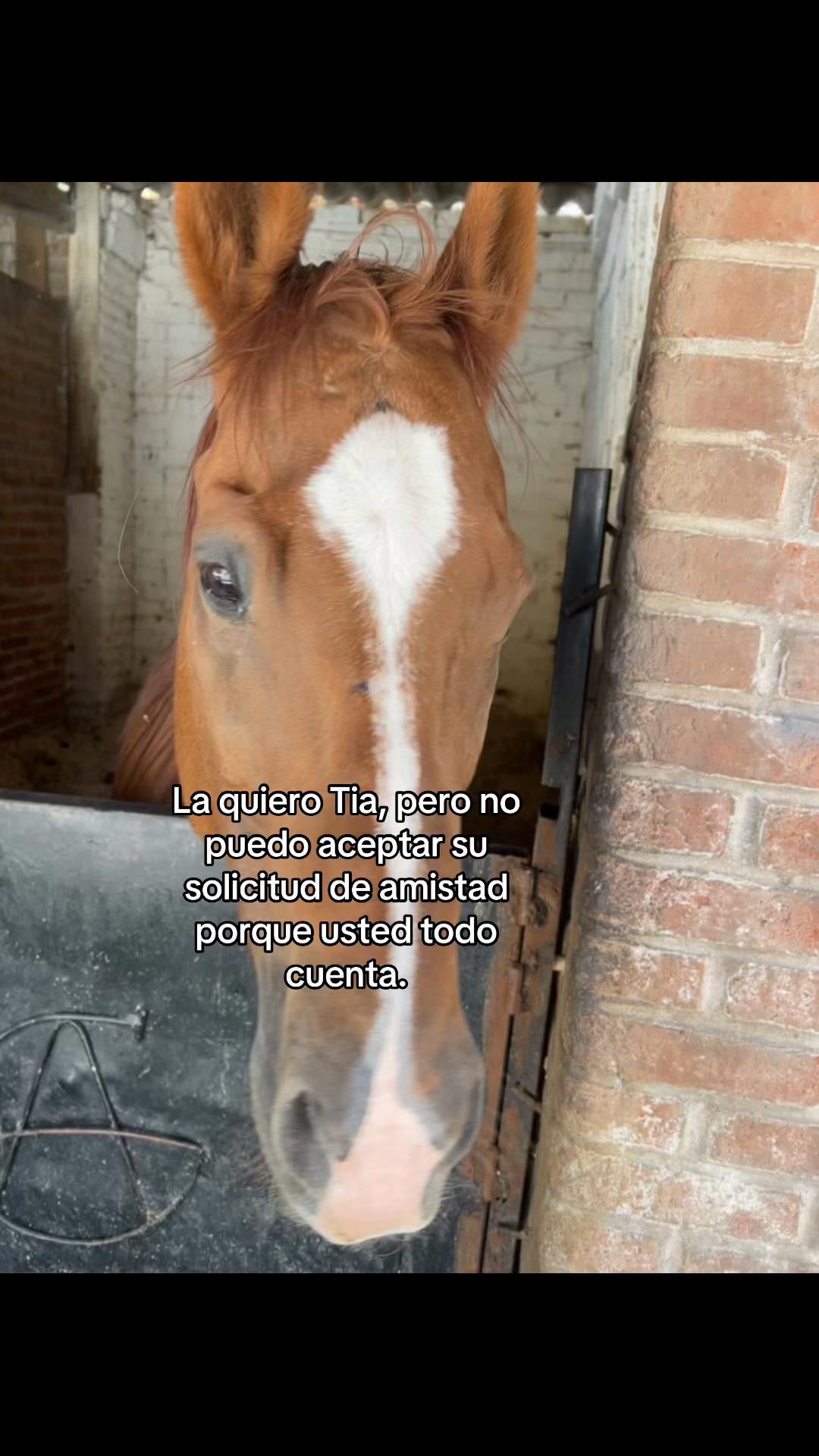 @Carlos_favela7