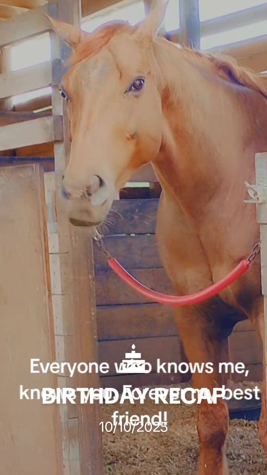 @Flhorselife772