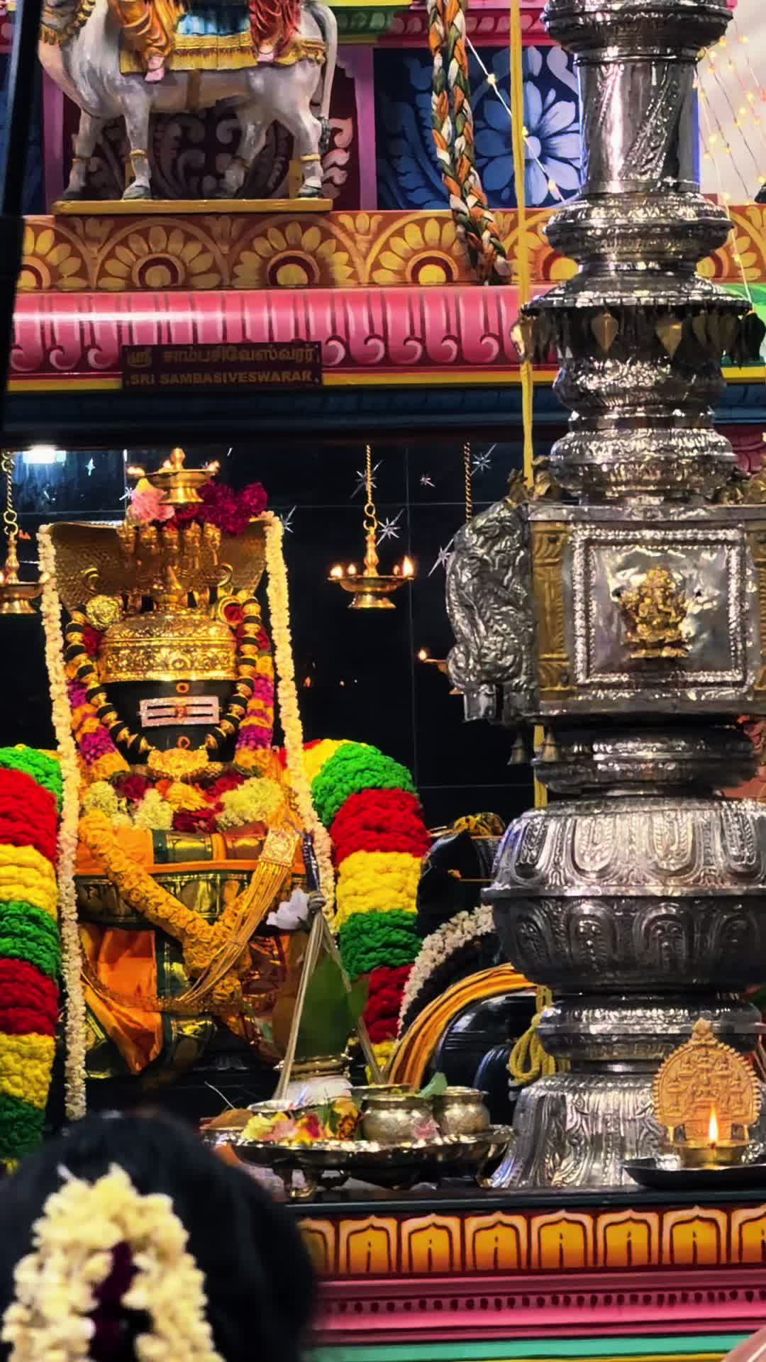 @SriDharshi🇨🇦🇩🇪🧿