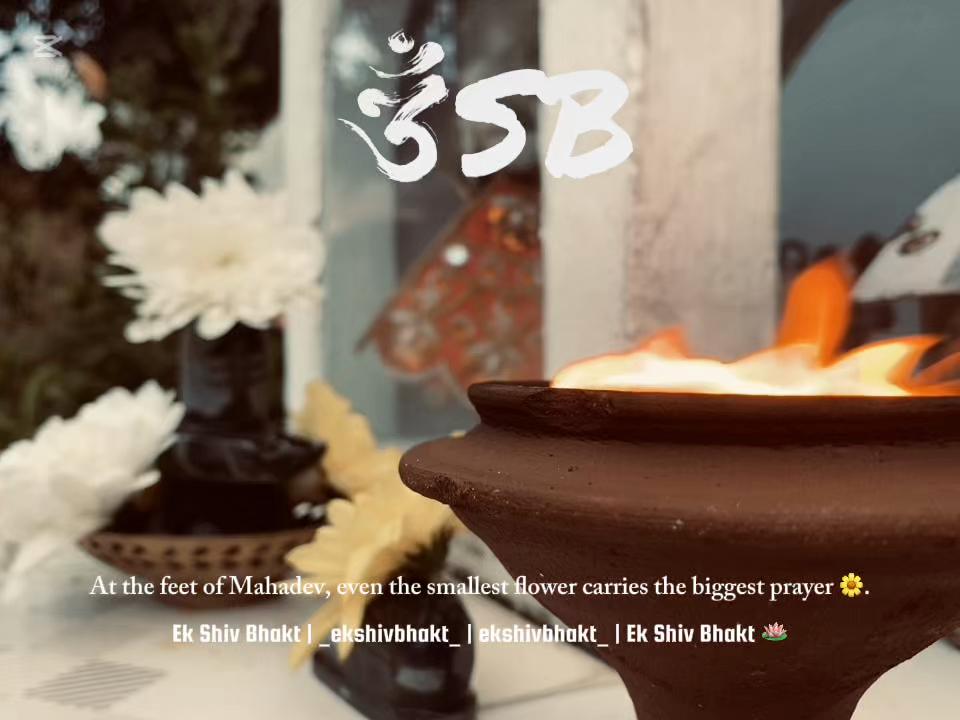 @Ek Shiv Bhakt 🪷
