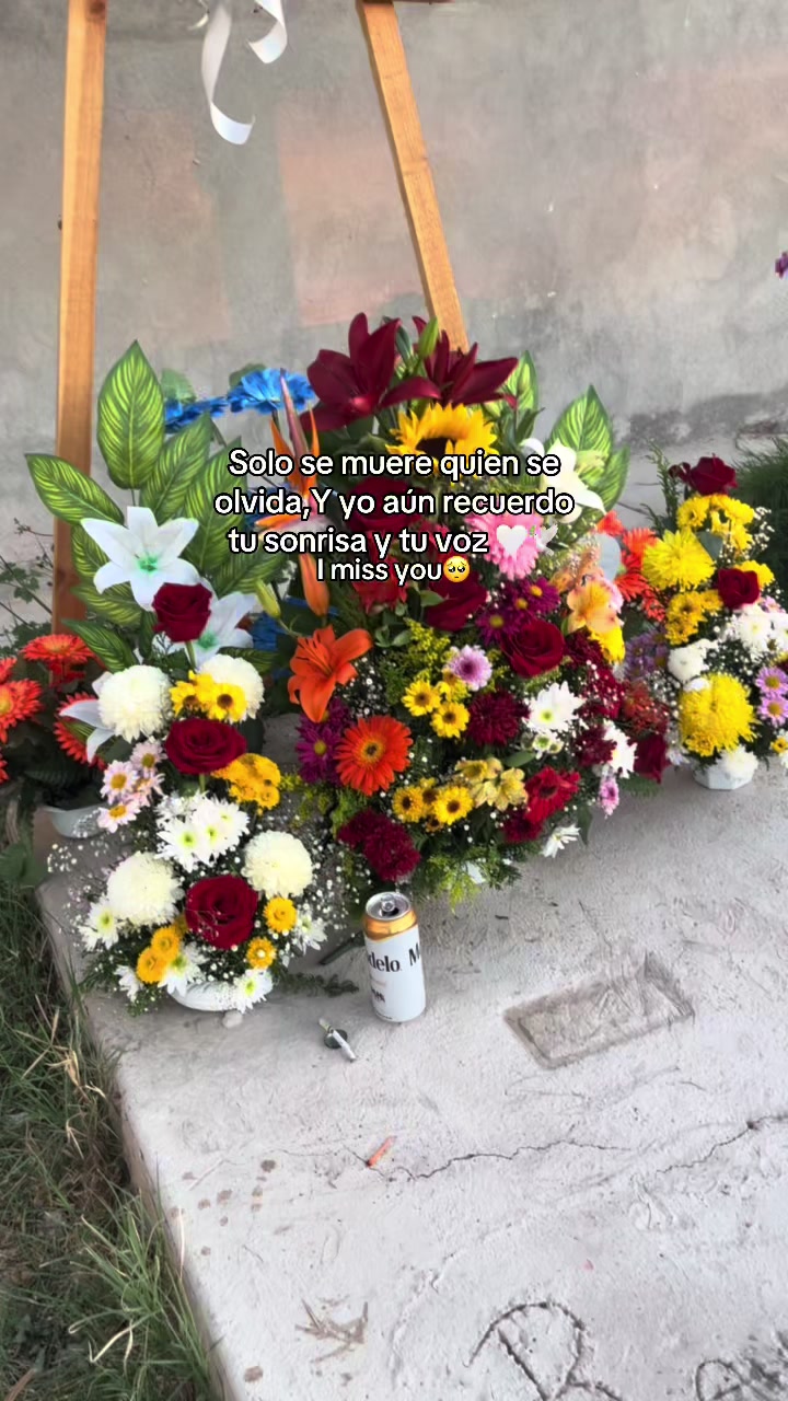 @𝓨𝓸𝓼𝓮𝓵𝓲𝓷ᥫ᭡
