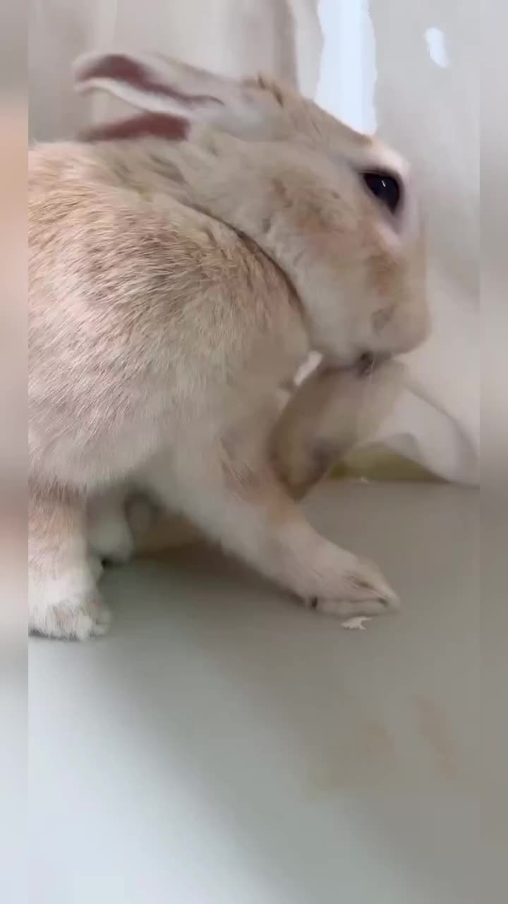 @WONDOO