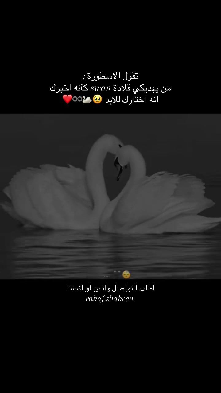 @rahaf.shaheen