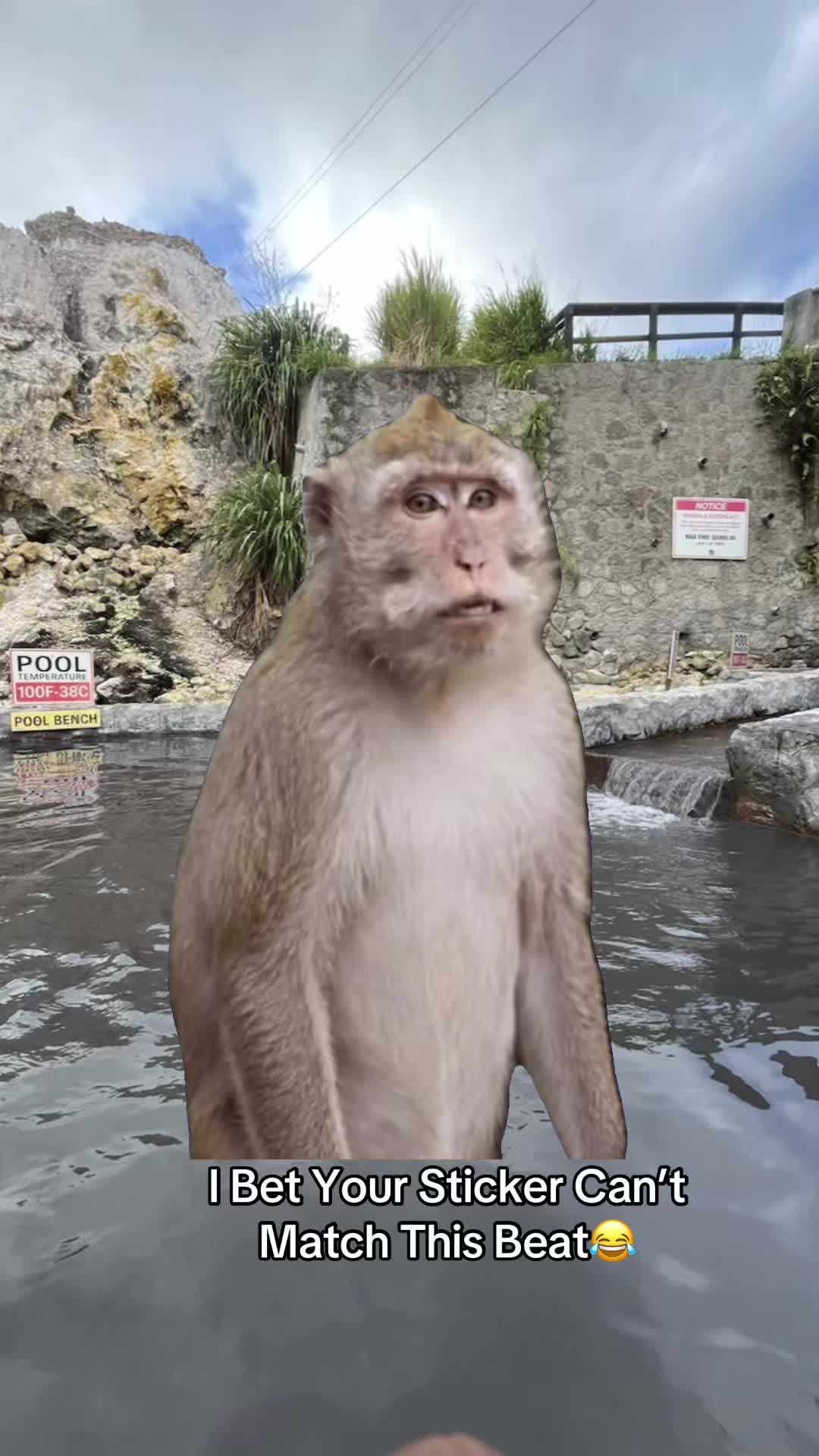 @ᴇᴍʙᴀʀɢᴏ ʙᴏꜱꜱ🪎
