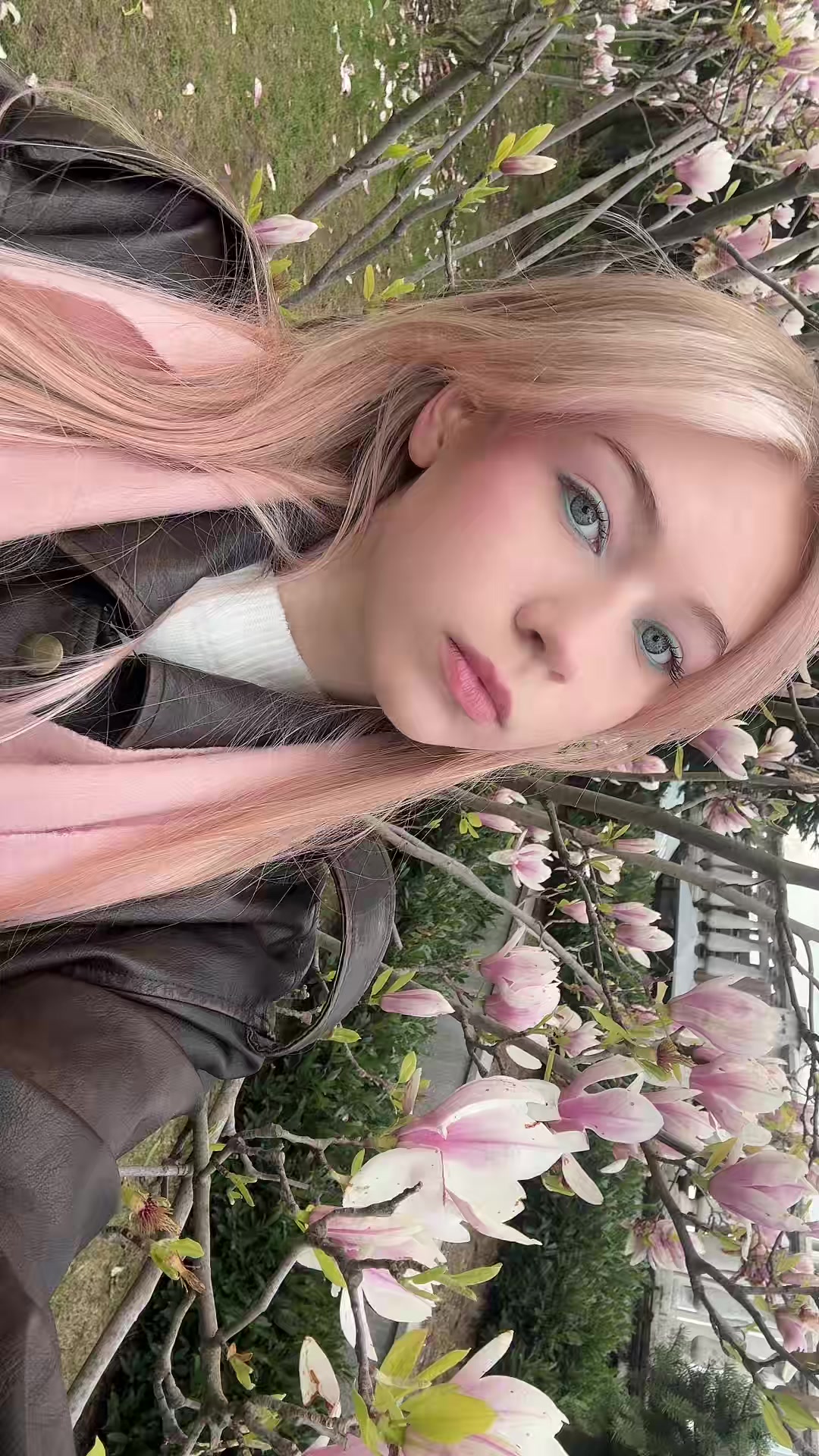 @оливка