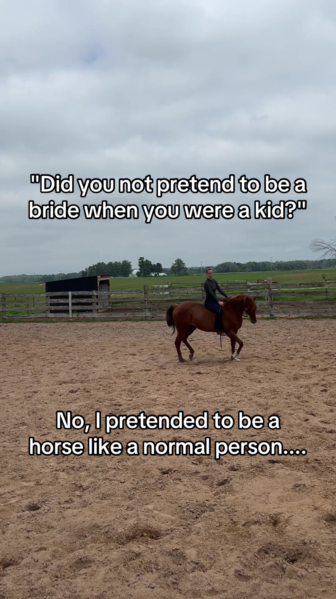 @Aubray | Equine Photographer