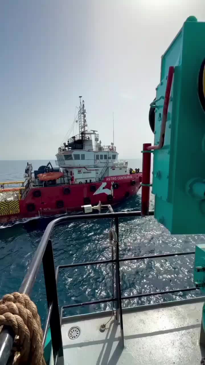 @DXD ⚓🦅