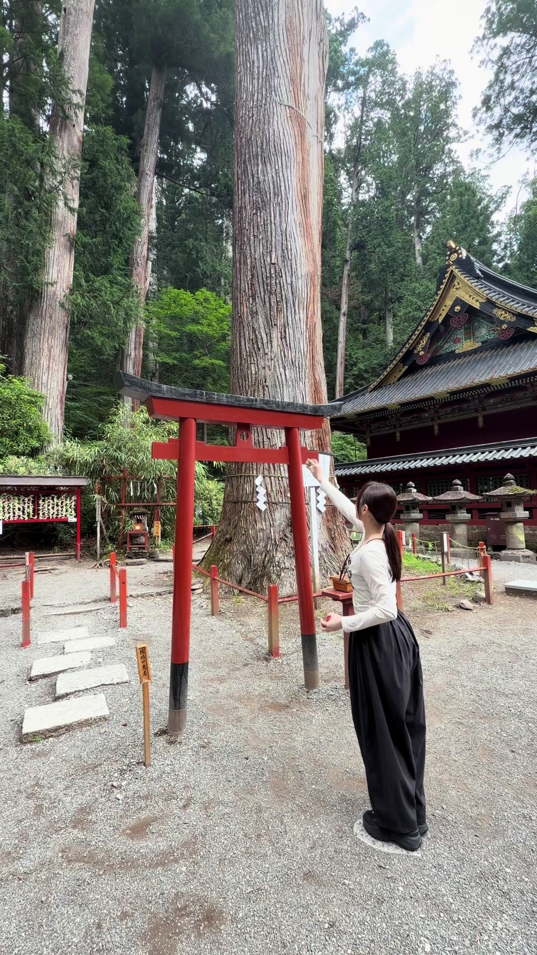 @田畑志真🐻🍵