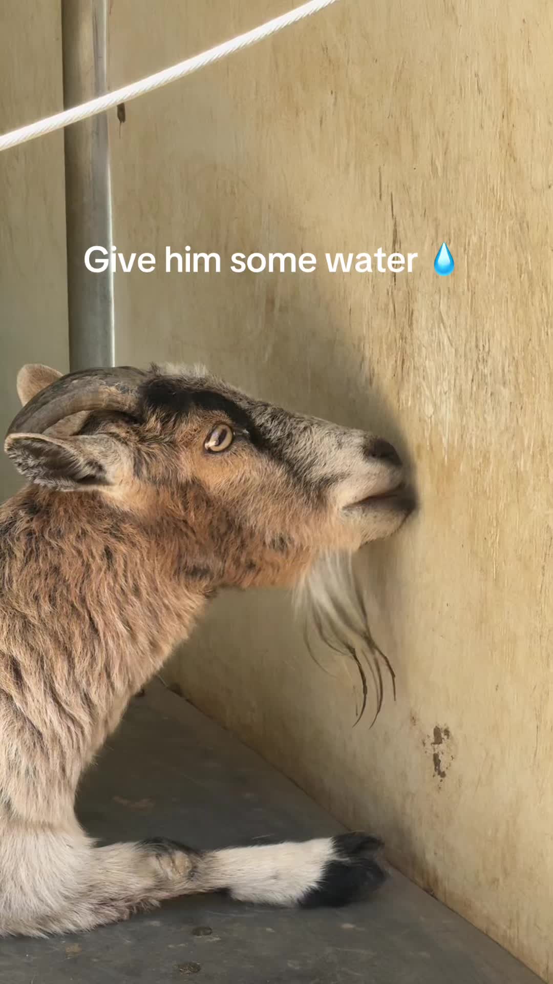 @Bryce Bun
