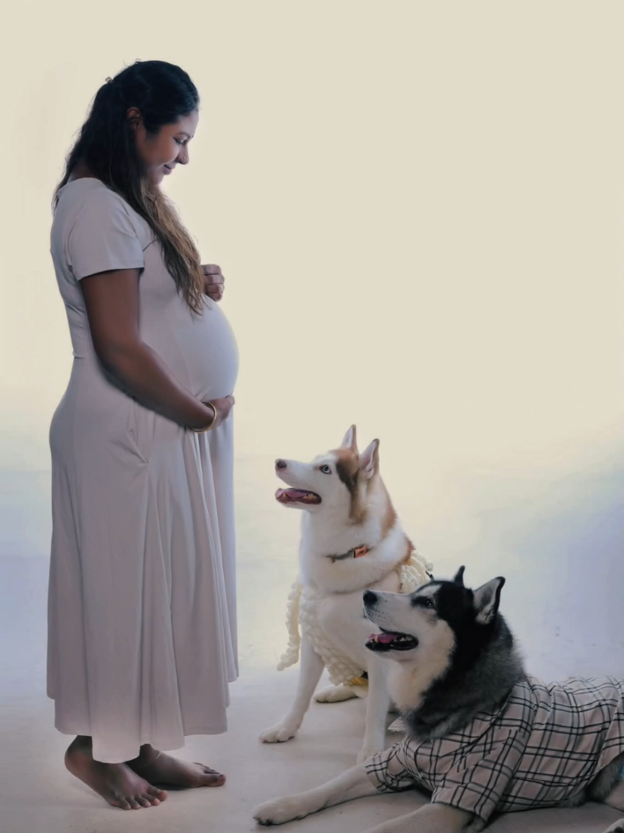@TobbyMishika_TheHusky