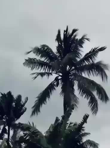 @আব্বু আম্মুর একমাত্র রাজকন্যা