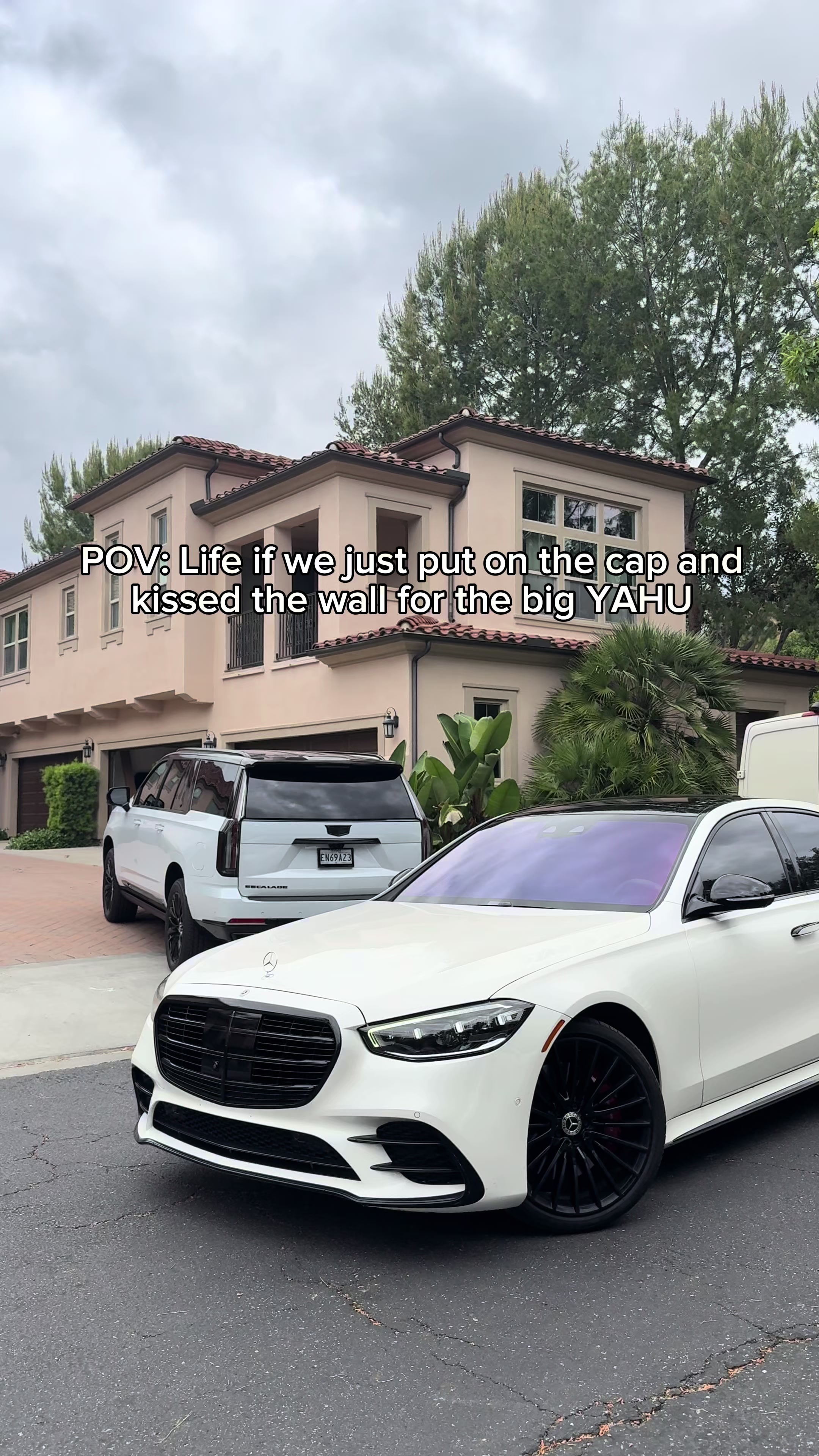 @BasemoExotics