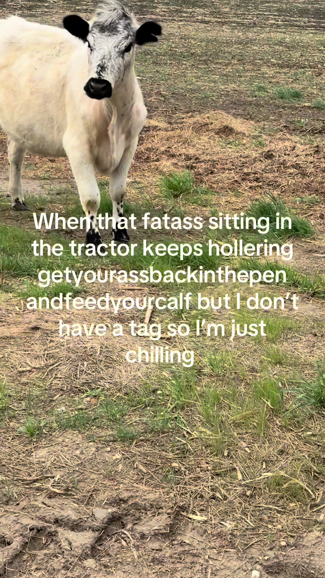 @cattleman840