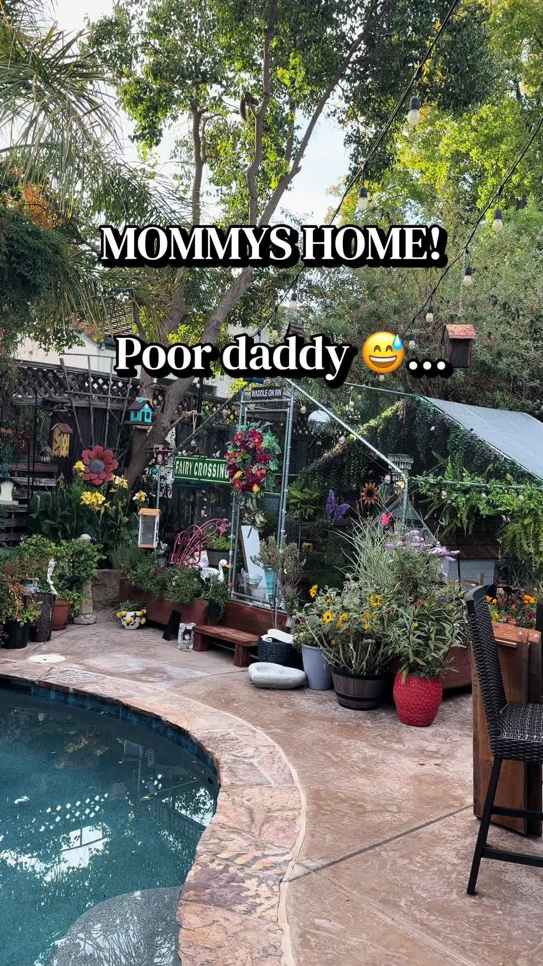 @Sherry&rsquo;s Backyard Sanctuary