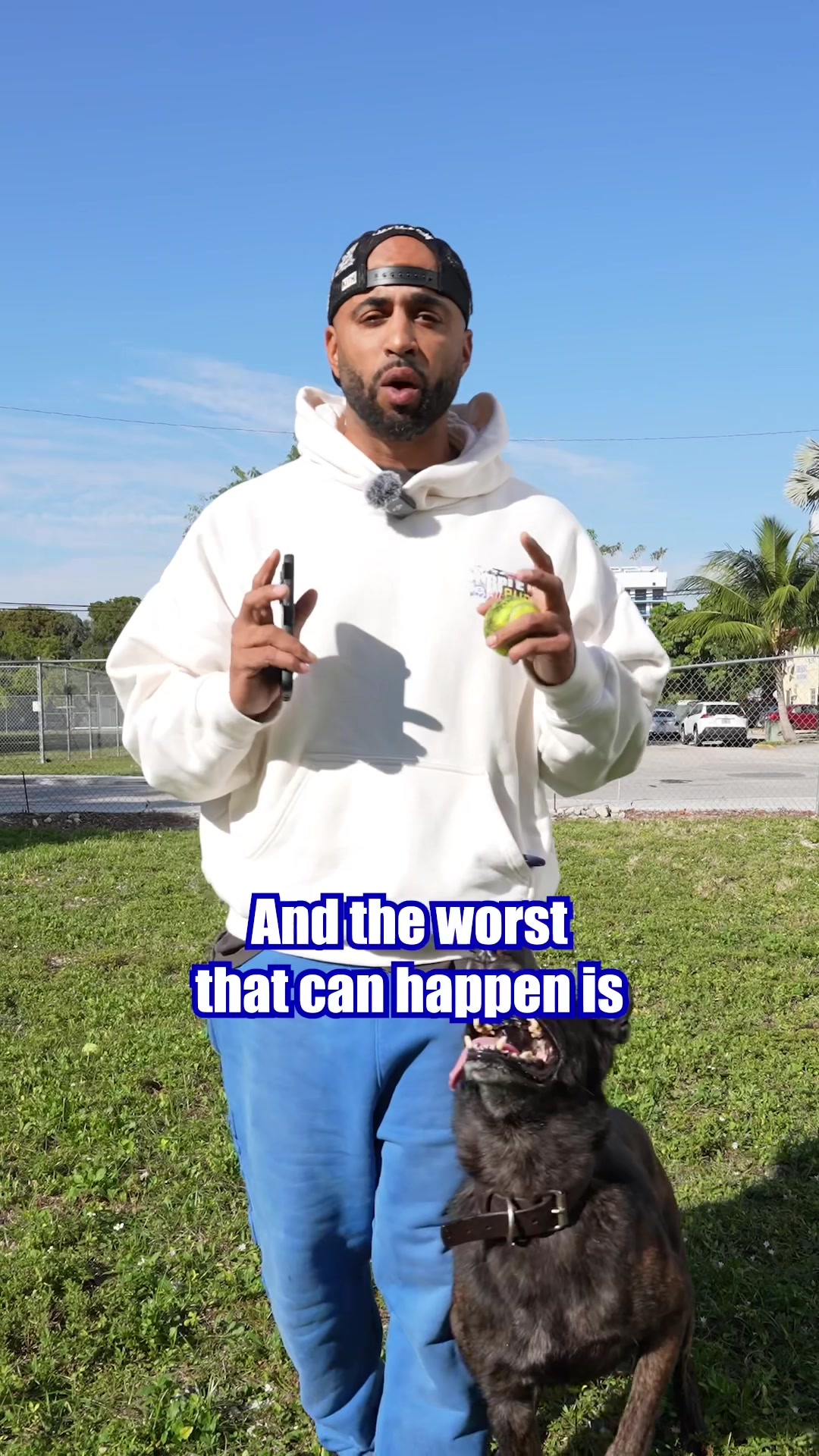 @Cali K9