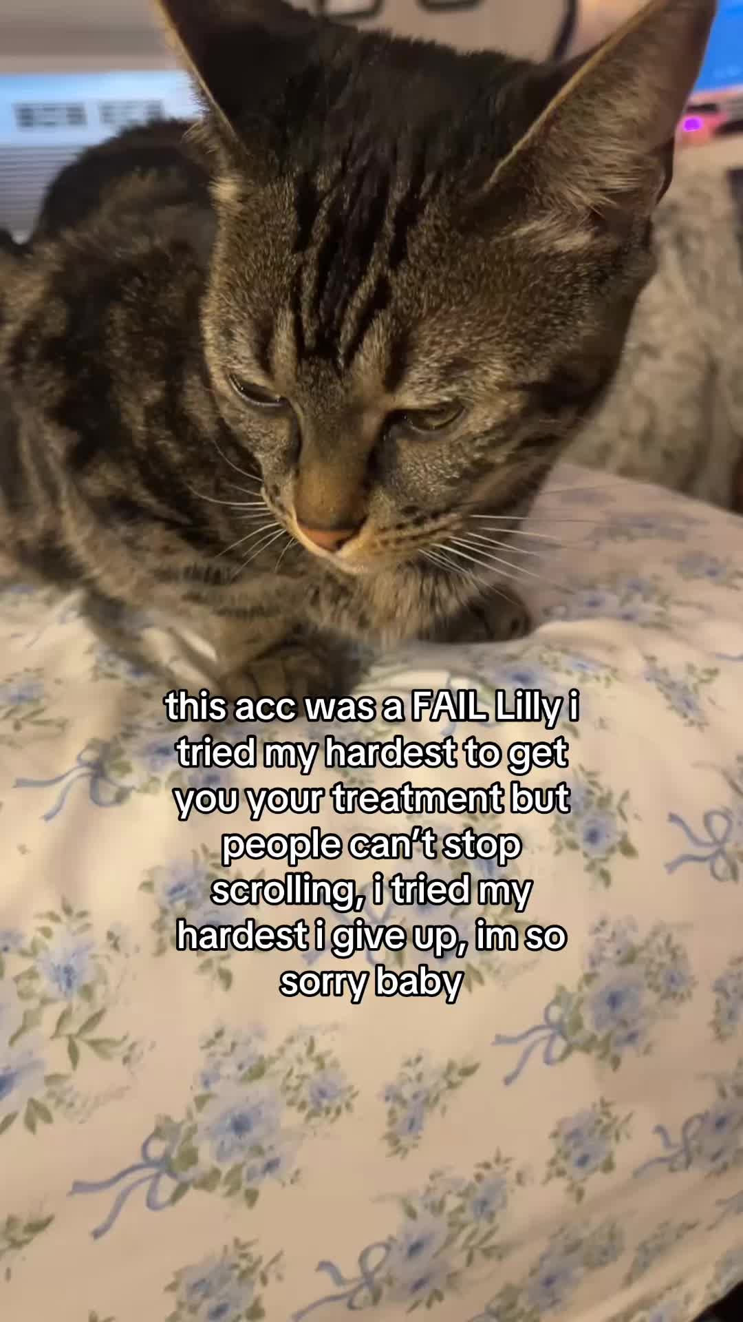 @Olivia