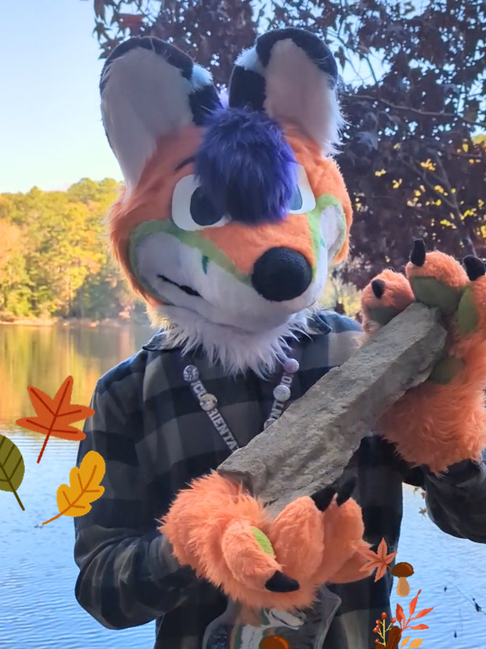 @Marsh The Fox