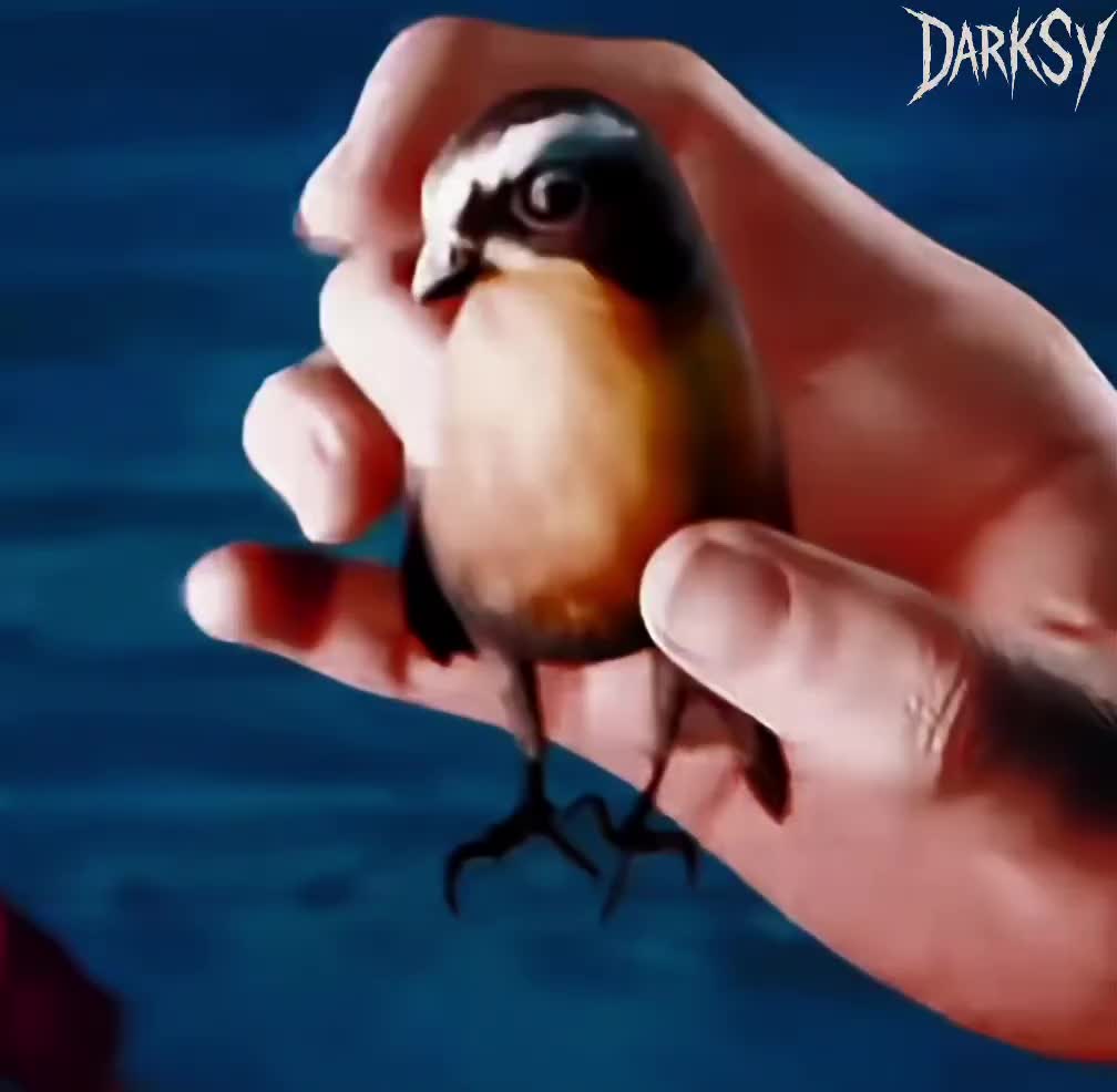 @DarkSy