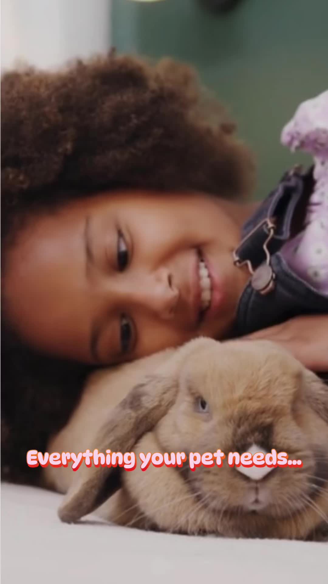 @Petworks.com