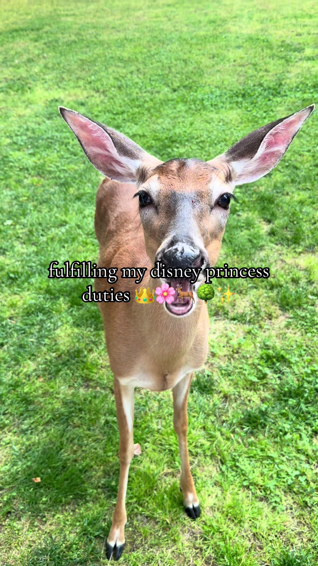 @777