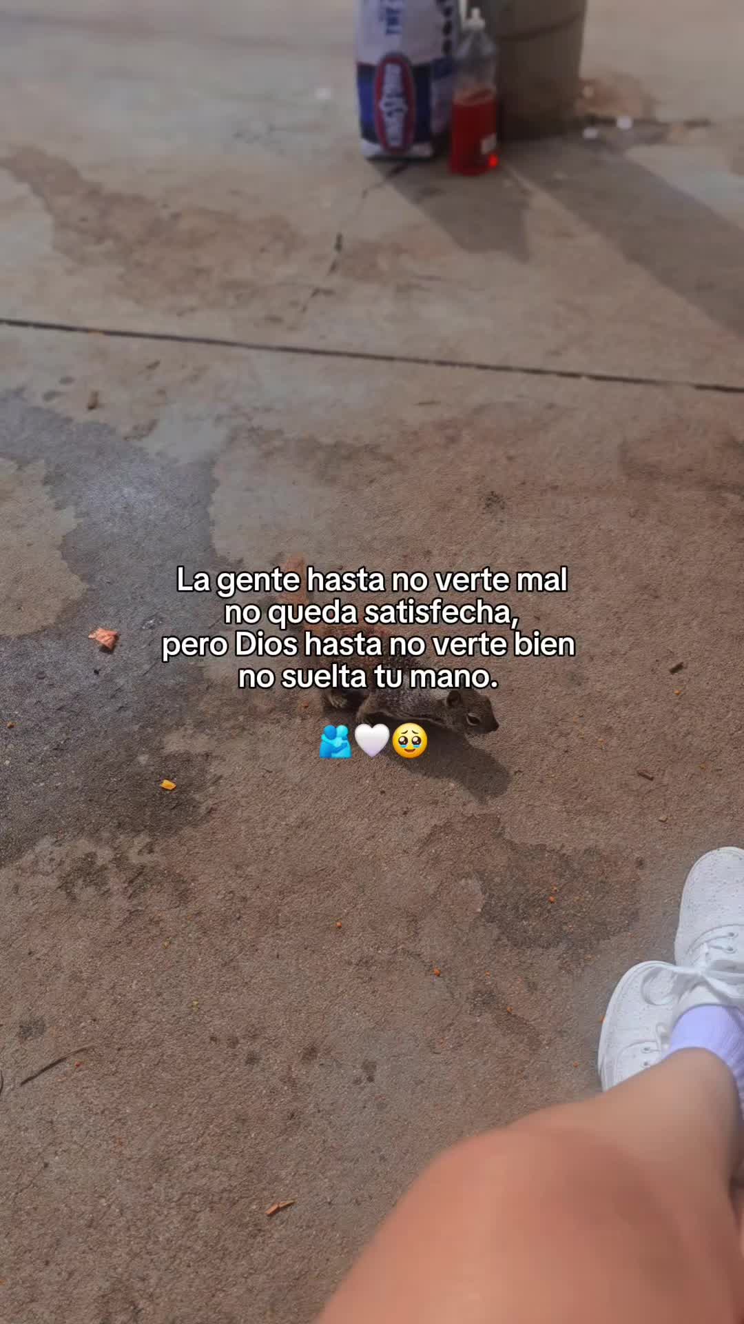 @ramirezivania🥰