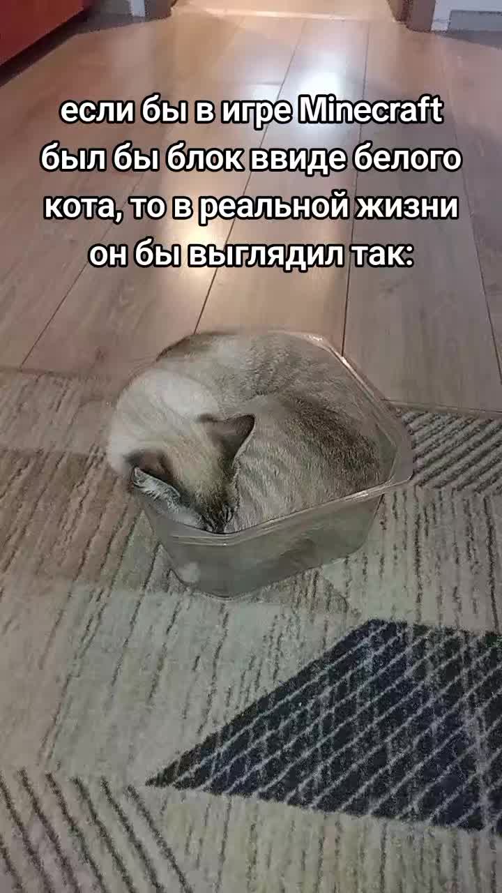 @на аве моя девушка мечты