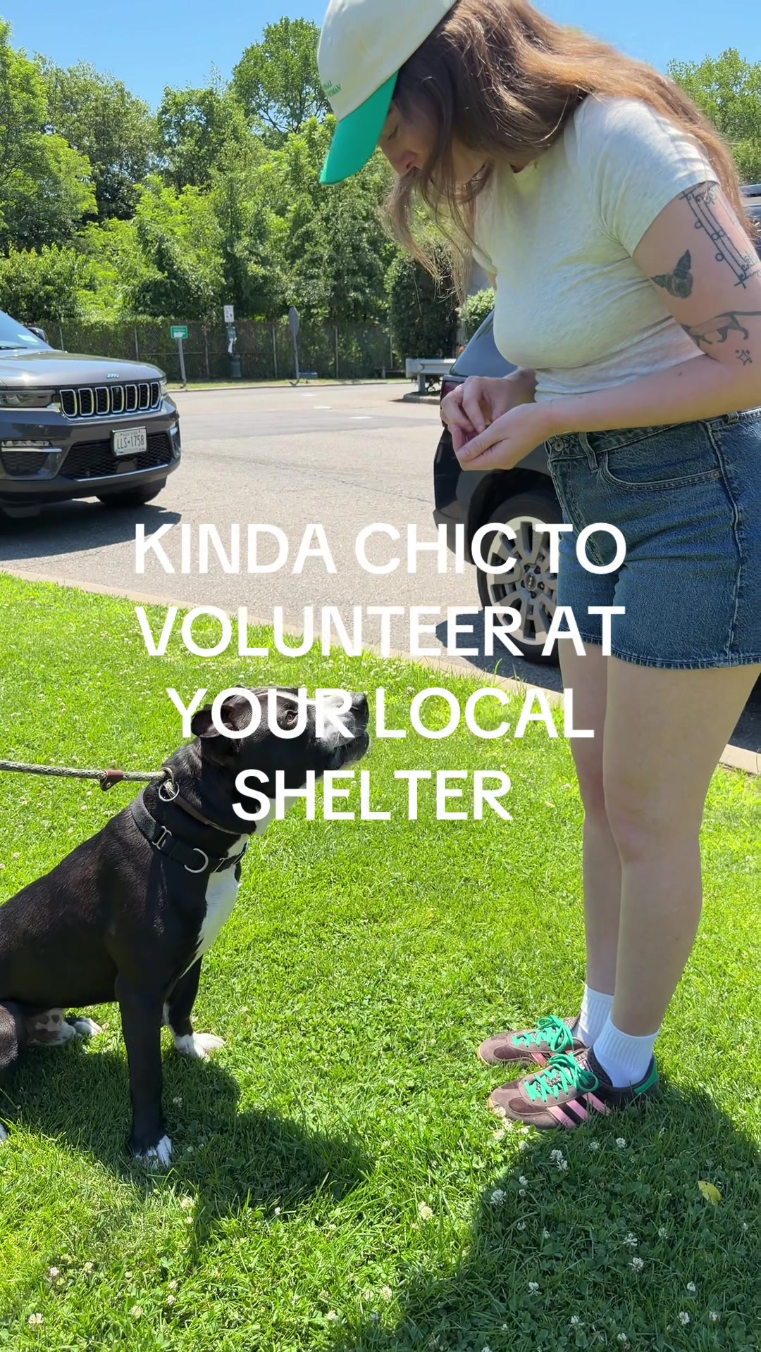 @Adopt a Pet