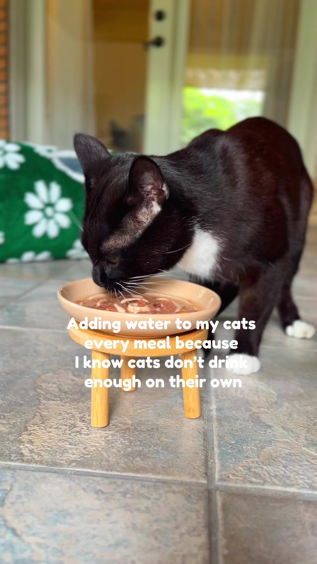 @happyhousecat