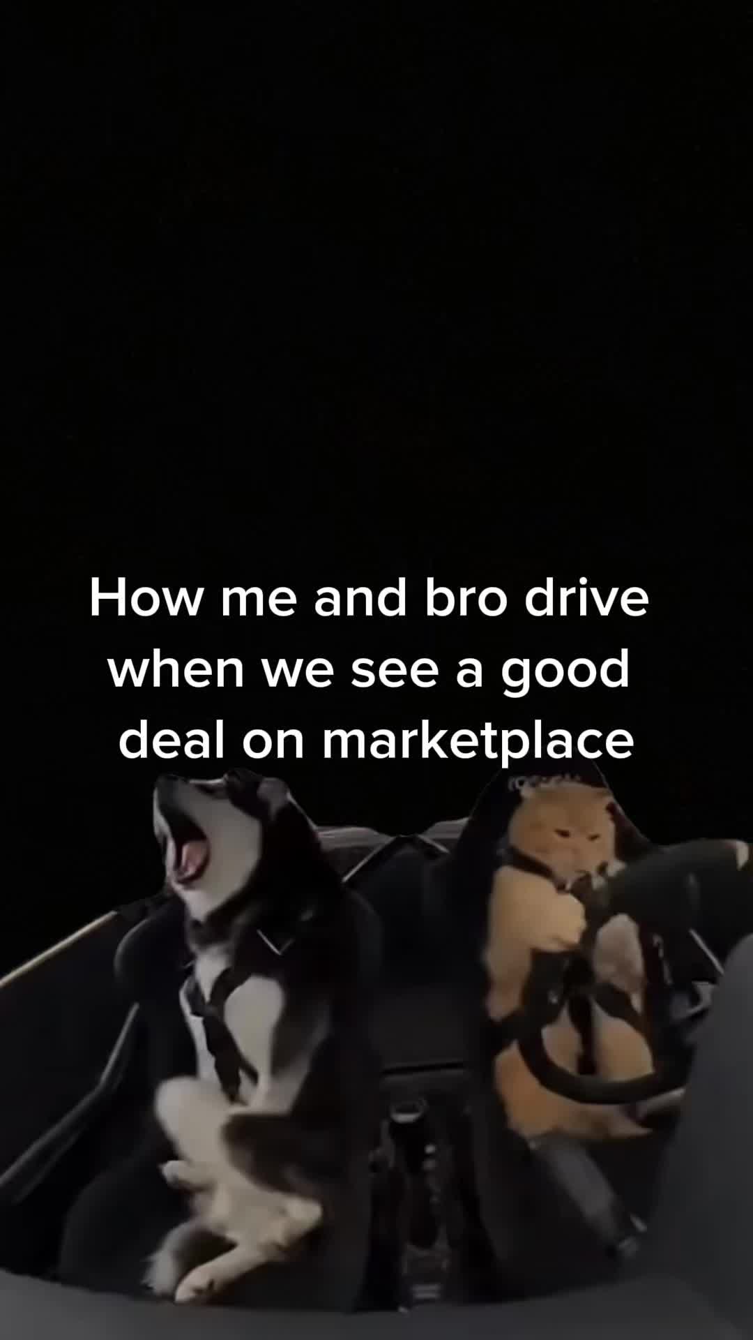 @_gunner✝️