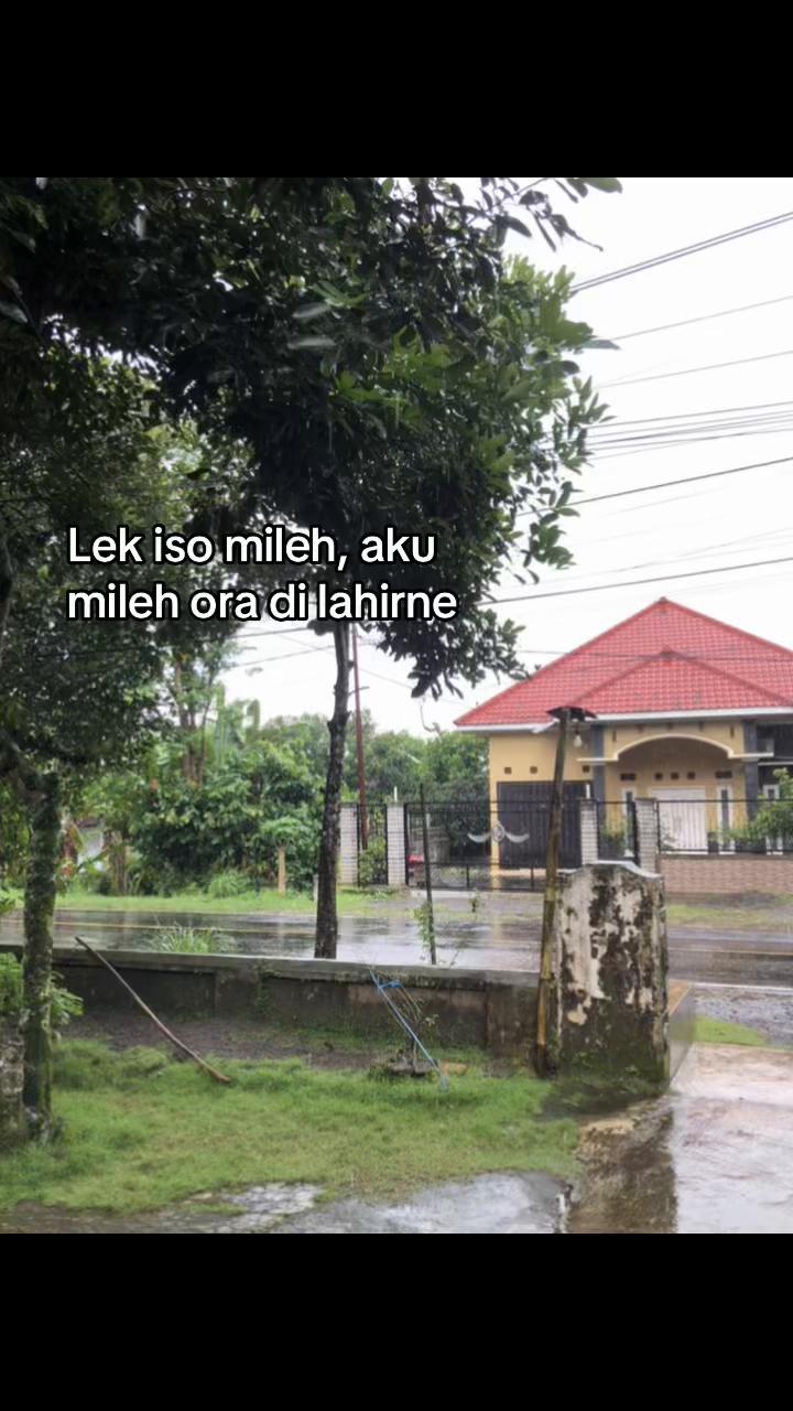 @IbasMit🅰️si 