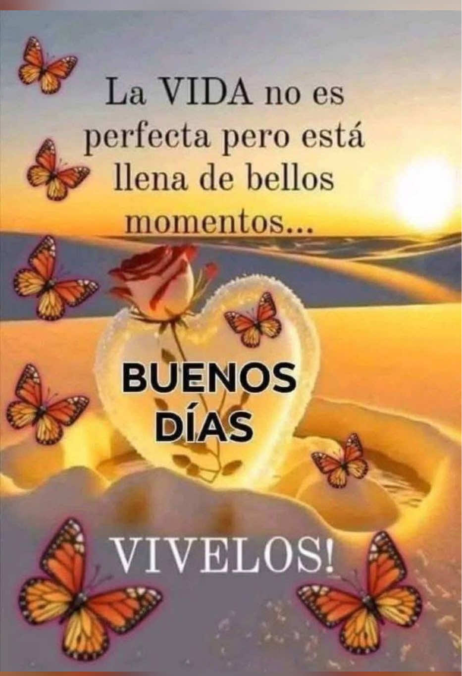 @elvirasvg