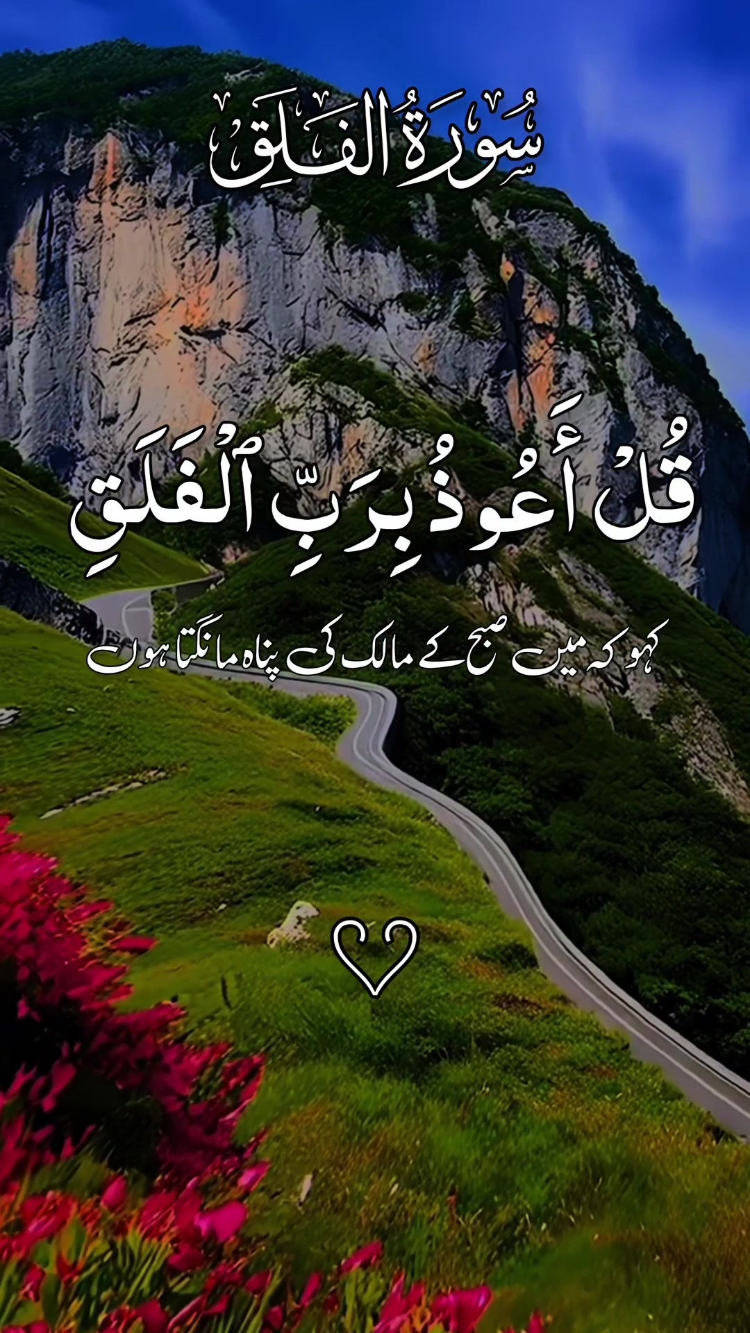 @❣️ Words of Allah ❣️
