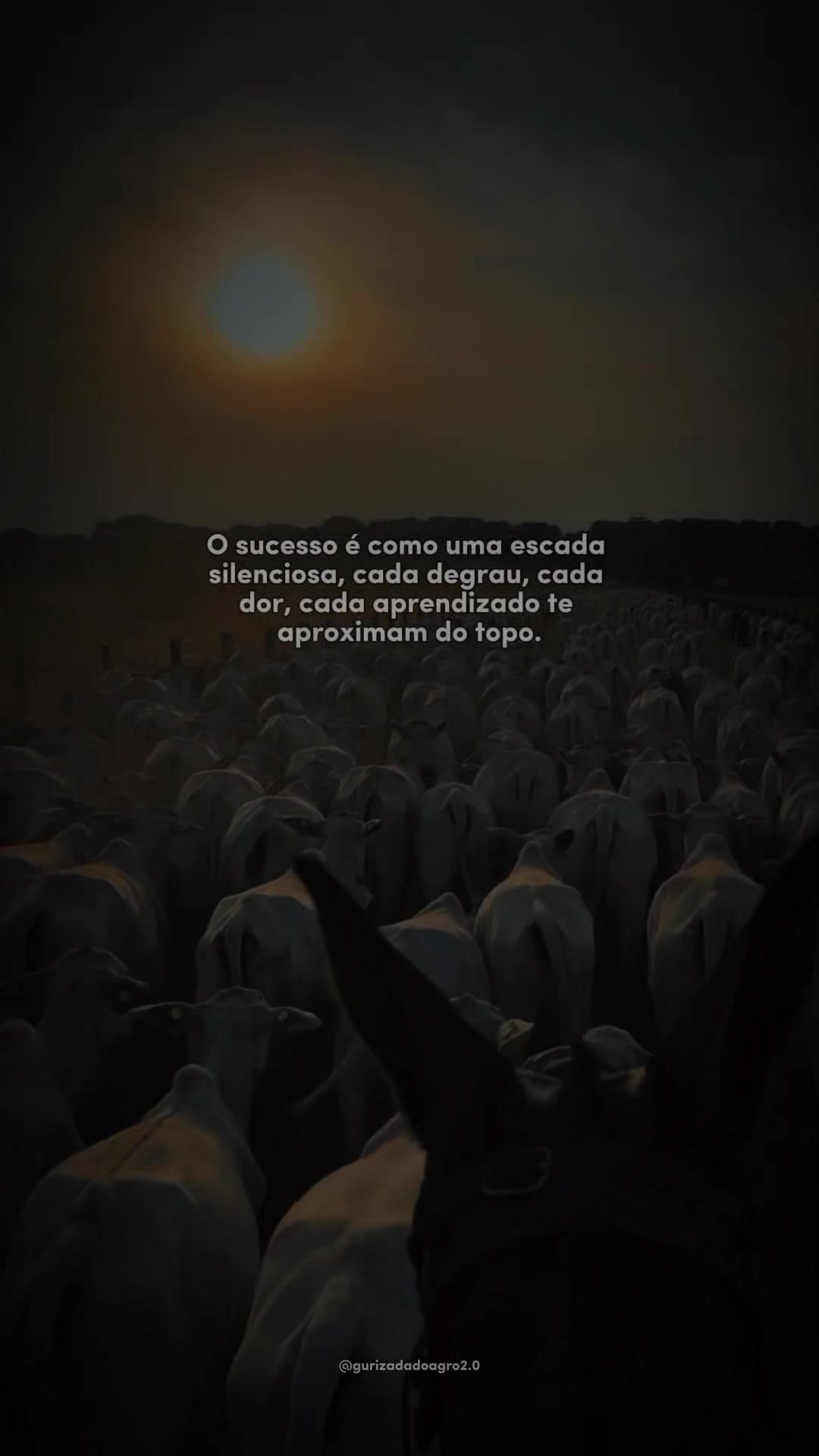 @gurizadadoagro2.0