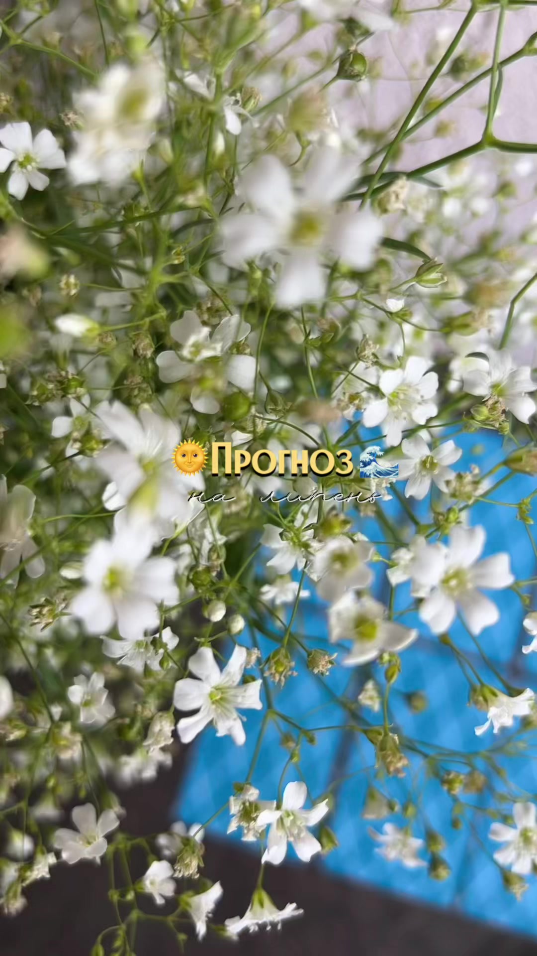 @Тіна🧝🏻♀️ Астролог 🇺🇦