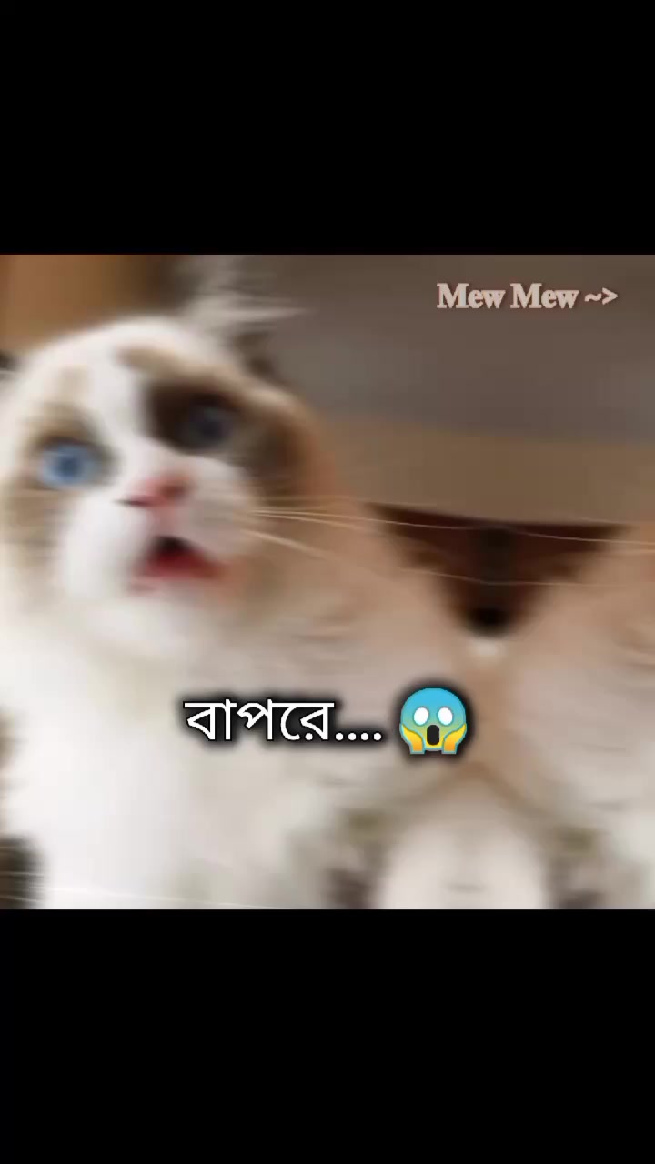 @ᯓ𝐄𝐫𝐚 𝐌𝐢𝐮ᥫ᭡