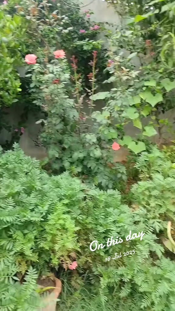 @Dr naila