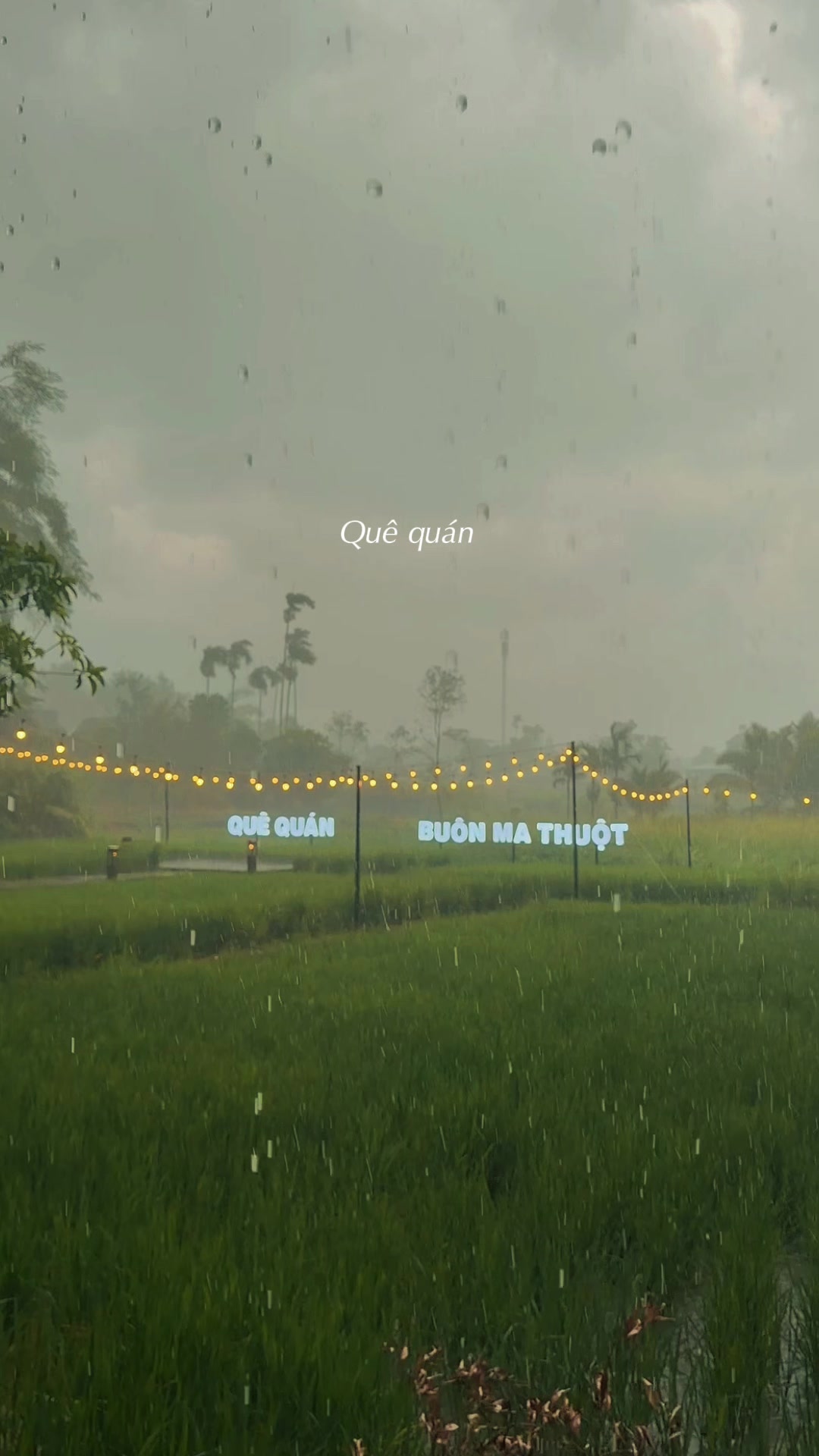 @G&ograve;n Ăn năng 🤤