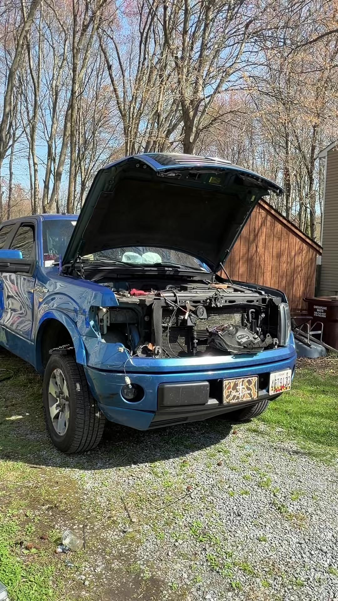 @that4.6bluebird