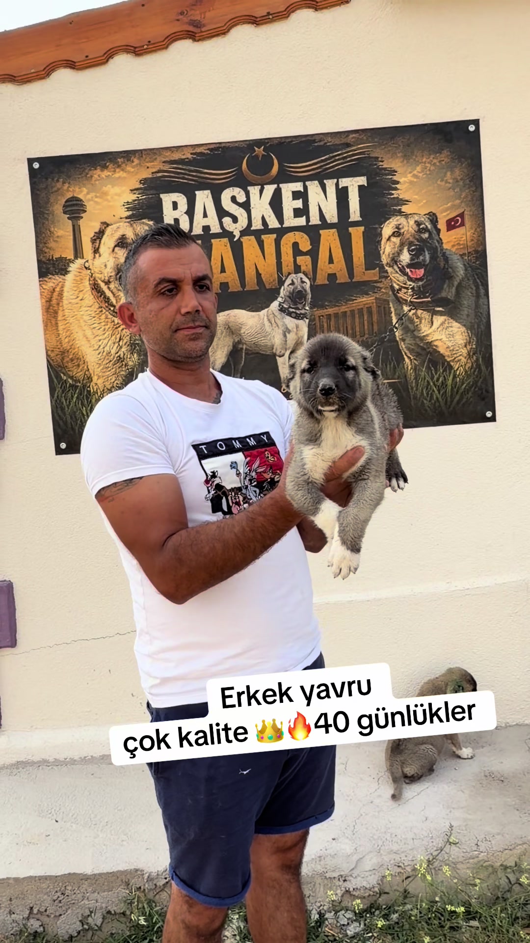 @kangalcı serkan