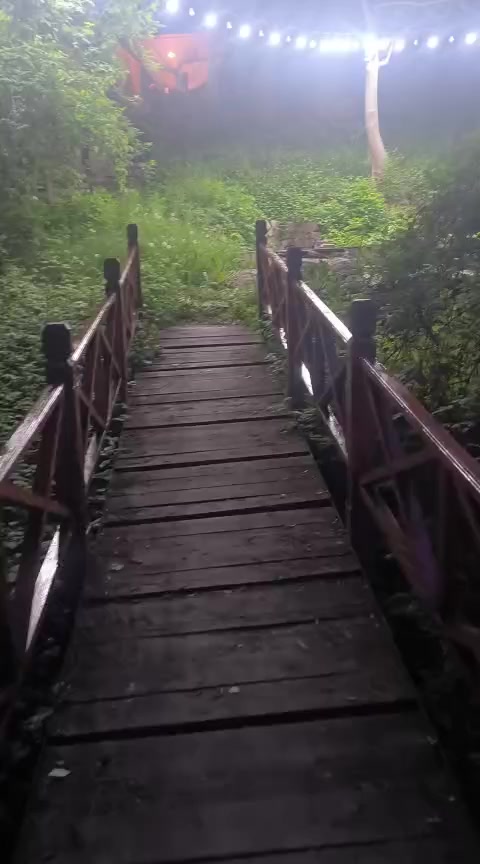@Koksaiak.demalysaimagy