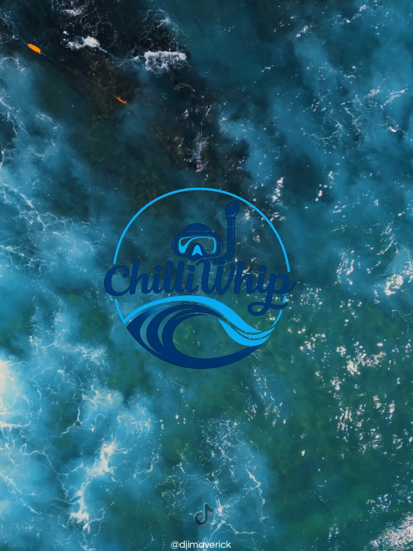 @🌊 Chilliwhip 🌊