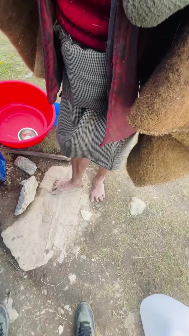 @थिँयाल 🌿