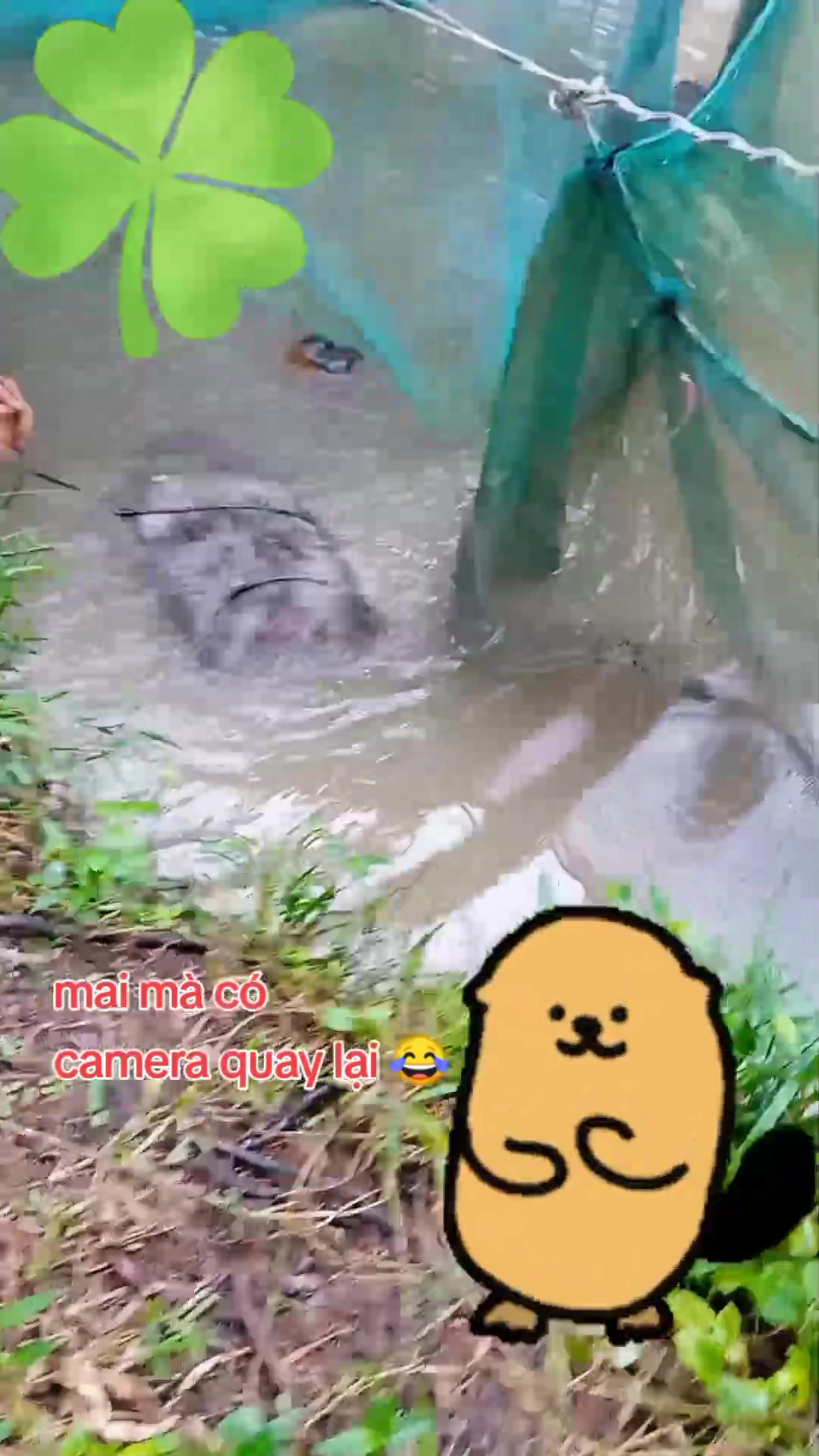 @Nguyễn Văn Hiền
