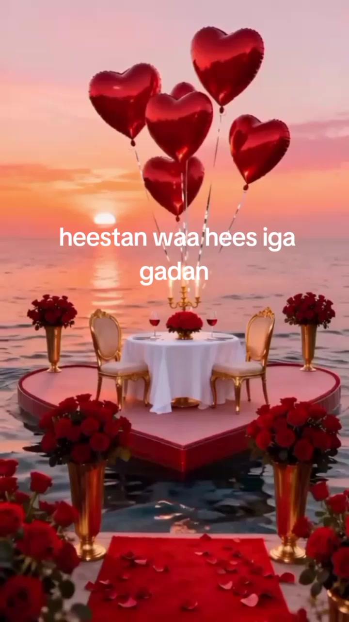 @amran aden