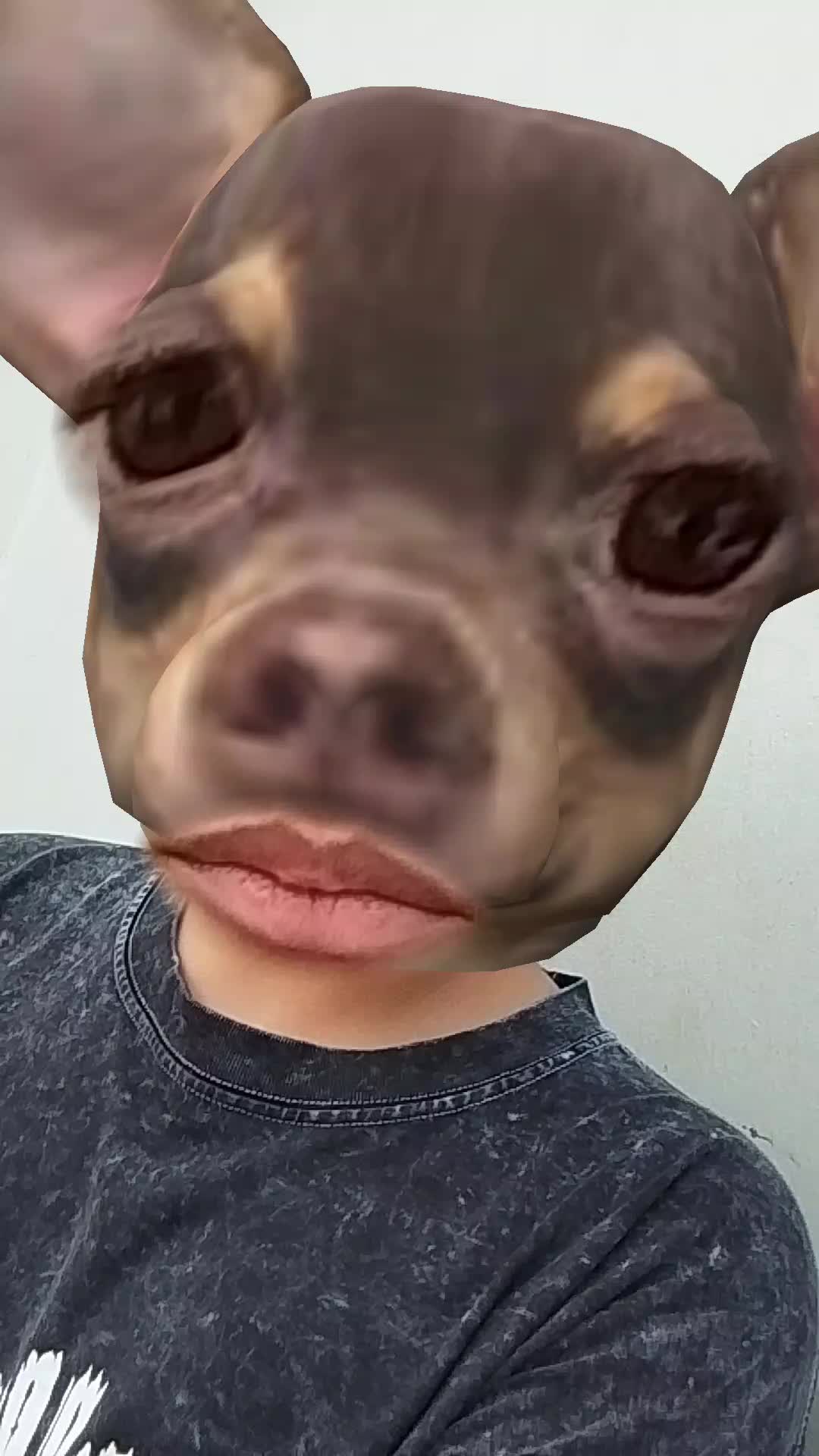 @Falqkon